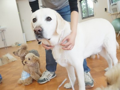 授業の様子♪ 85のサムネイル