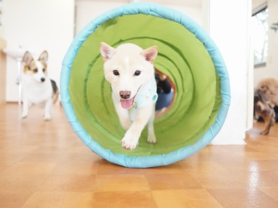 授業の様子♪ 83のサムネイル