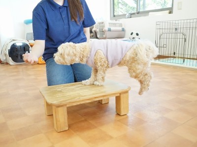 授業の様子♪ 85のサムネイル