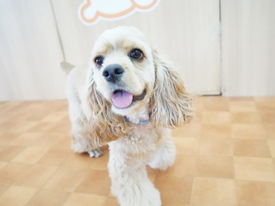 今までの思い出 【93】のサムネイル