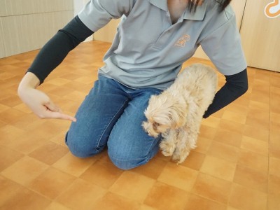 授業の様子♪ 84のサムネイル