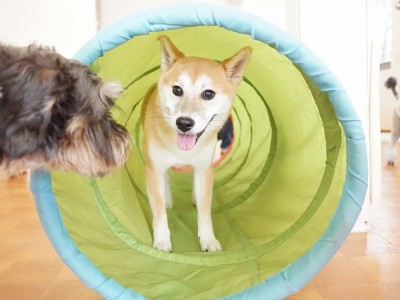 授業の様子♪ 84のサムネイル