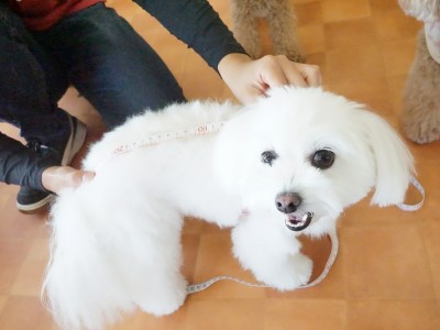 授業の様子♪ 88のサムネイル