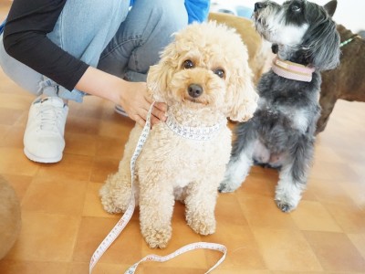 授業の様子♪ 89のサムネイル