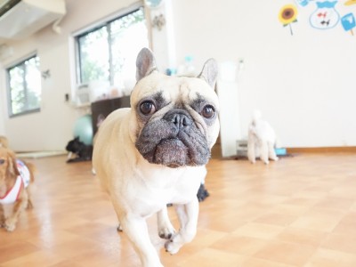 今までの思い出 【93】のサムネイル