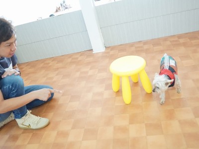 授業の様子♪ 86のサムネイル