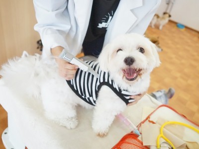 授業の様子♪ 89のサムネイル