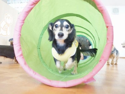 授業の様子♪ 86のサムネイル