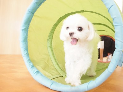 授業の様子♪ 90のサムネイル