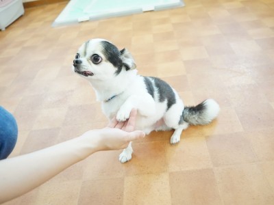 授業の様子♪ 87のサムネイル