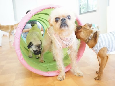 授業の様子♪ 85のサムネイル