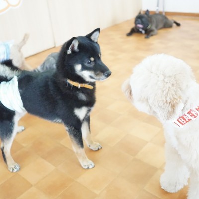 今までの思い出 【93】