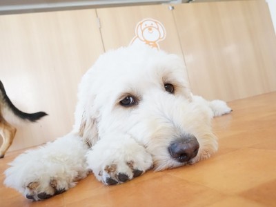 今までの思い出 【95】のサムネイル