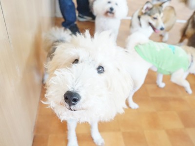 今までの思い出 【95】のサムネイル