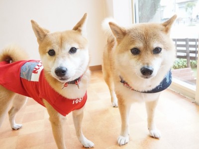 今までの思い出 【95】のサムネイル