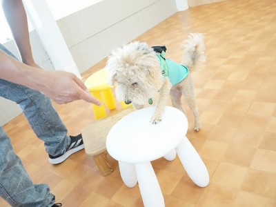 授業の様子♪ 83のサムネイル