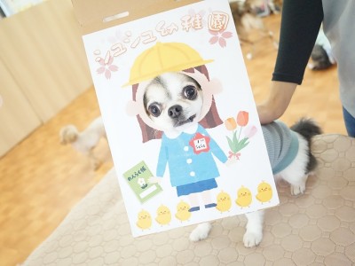 授業の様子♪ 87のサムネイル