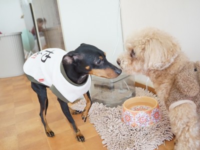 今までの思い出 【95】のサムネイル