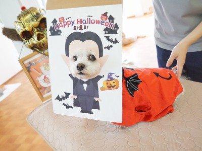 授業の様子♪ 83のサムネイル