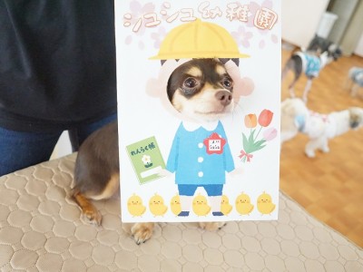 授業の様子♪ 81のサムネイル