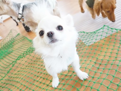 授業の様子♪ 89のサムネイル