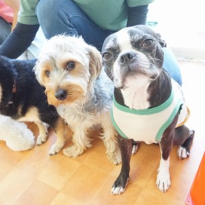 授業の様子♪ 88