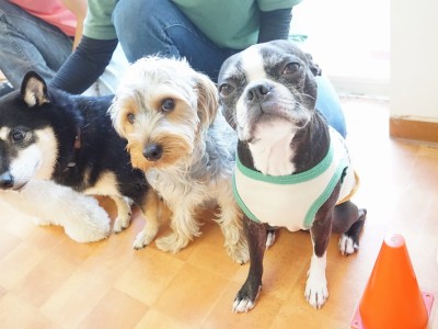 授業の様子♪ 88のサムネイル