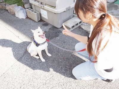 授業の様子♪ 88のサムネイル