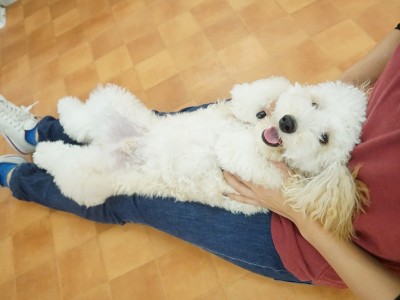 授業の様子♪ 89のサムネイル