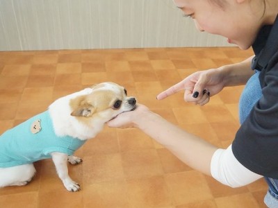 授業の様子♪ 84のサムネイル