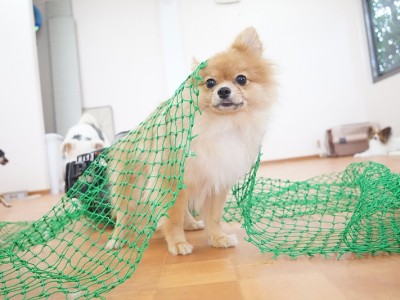 授業の様子♪ 83のサムネイル