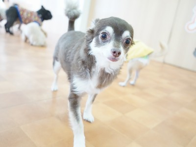 今までの思い出 【95】のサムネイル