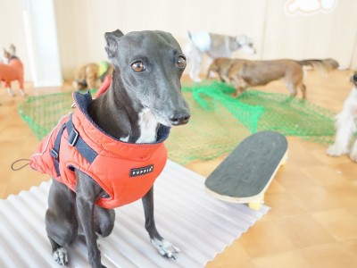 授業の様子♪ 88のサムネイル