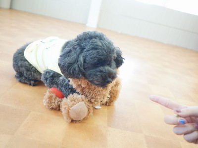 授業の様子♪ 86のサムネイル