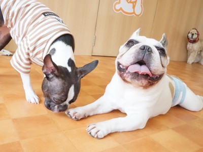 今までの思い出 【95】のサムネイル