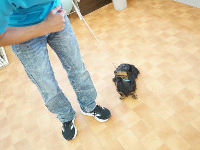 授業の様子♪ 82のサムネイル