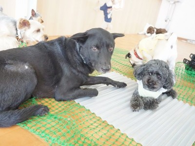 授業の様子♪ 84のサムネイル