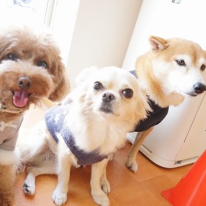 授業の様子♪ 90