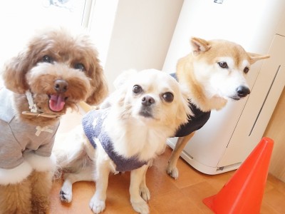 授業の様子♪ 90のサムネイル