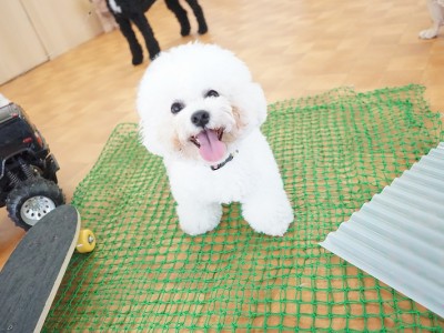 授業の様子♪ 81のサムネイル