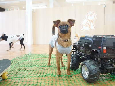 授業の様子♪ 82のサムネイル