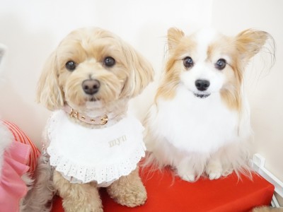 授業の様子♪ 83のサムネイル