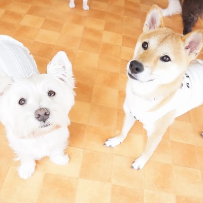 今までの思い出 【94】