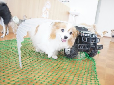 授業の様子♪ 85のサムネイル