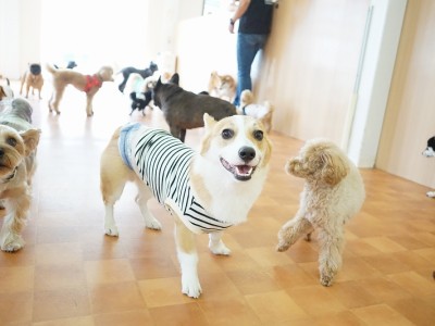 今までの思い出 【95】のサムネイル