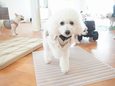 授業の様子♪ 90のサムネイル