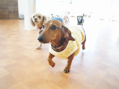 今までの思い出 【95】のサムネイル