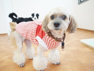 今までの思い出 【95】のサムネイル