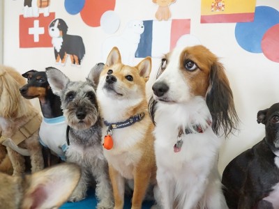 授業の様子♪ 89のサムネイル