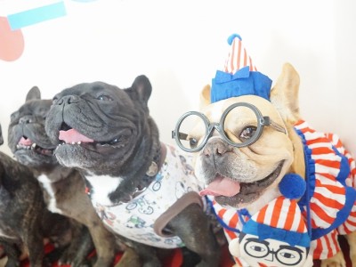 授業の様子♪ 85のサムネイル